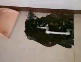 荔波卫生间测漏水多少钱